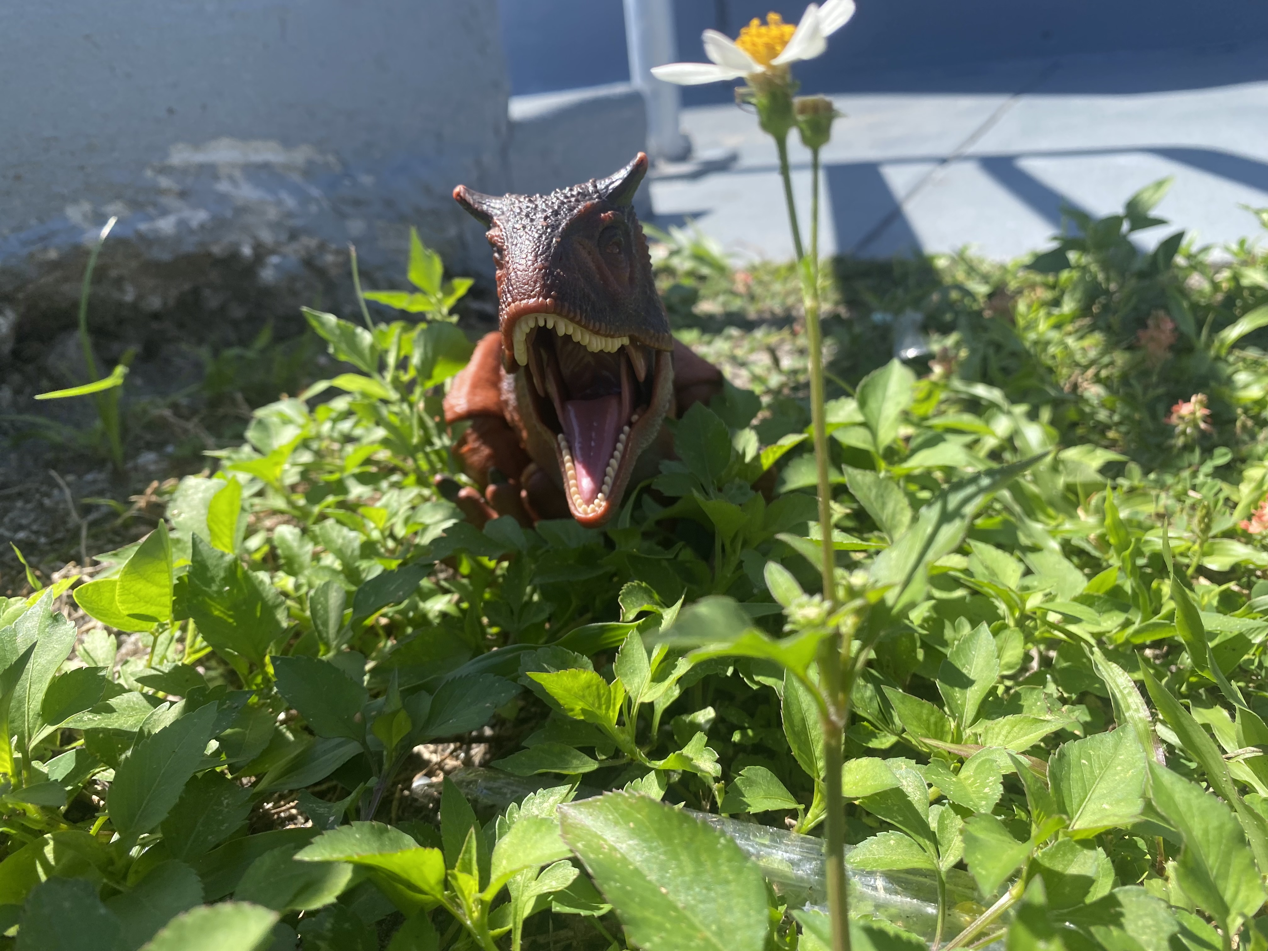 Carnotaurus figure