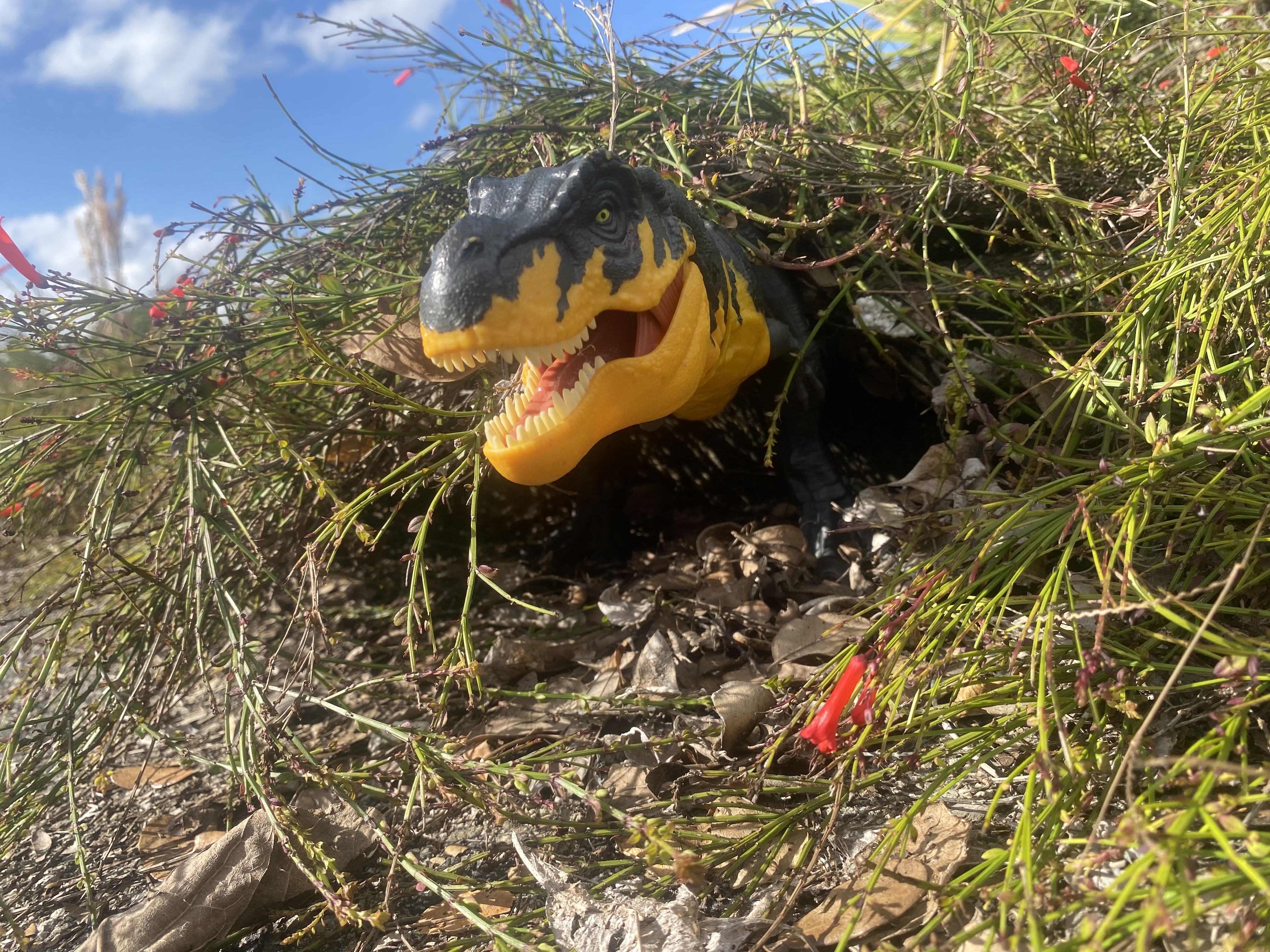 Tyrannosaurus Rex figure