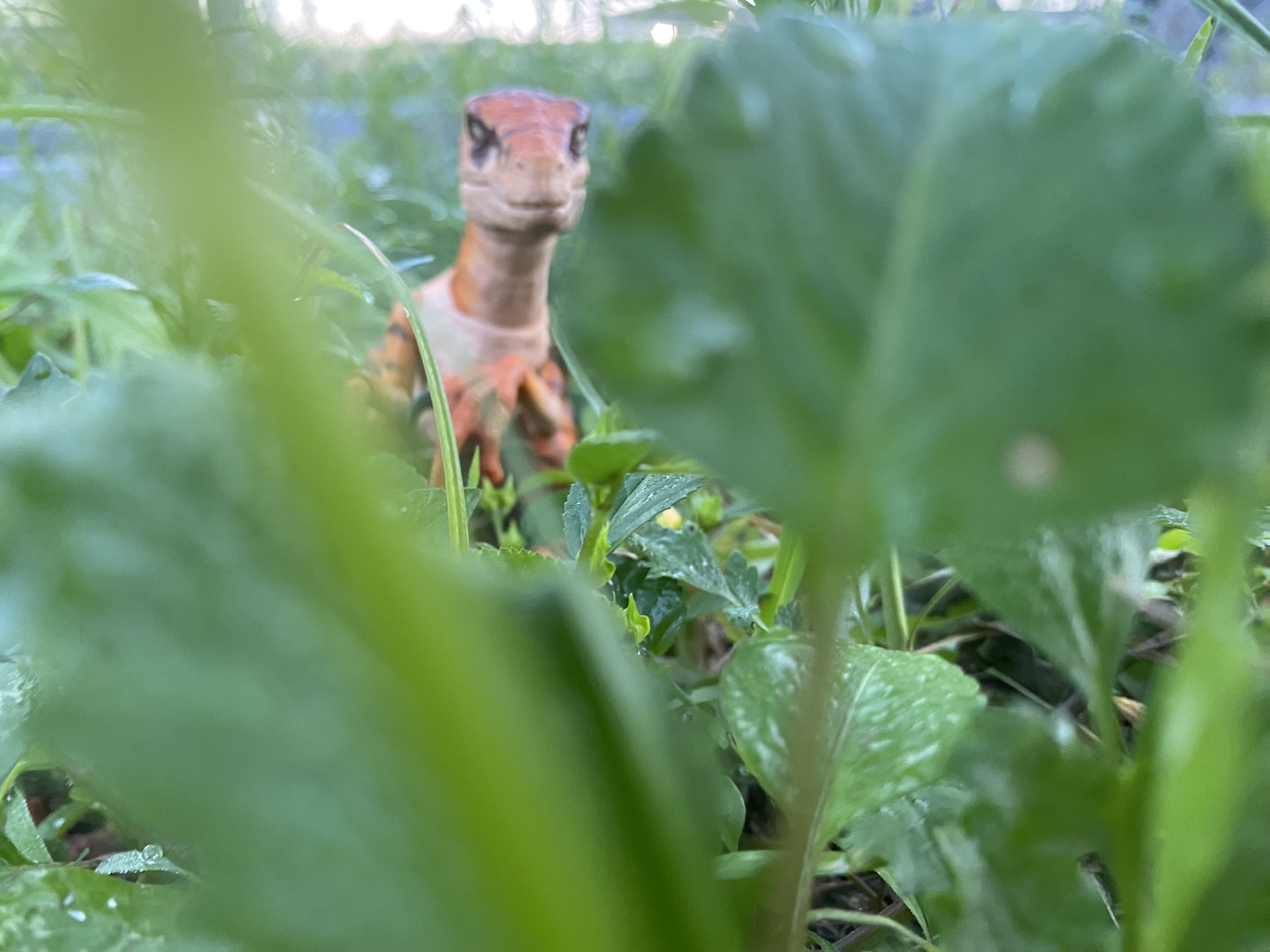 Velociraptor figure