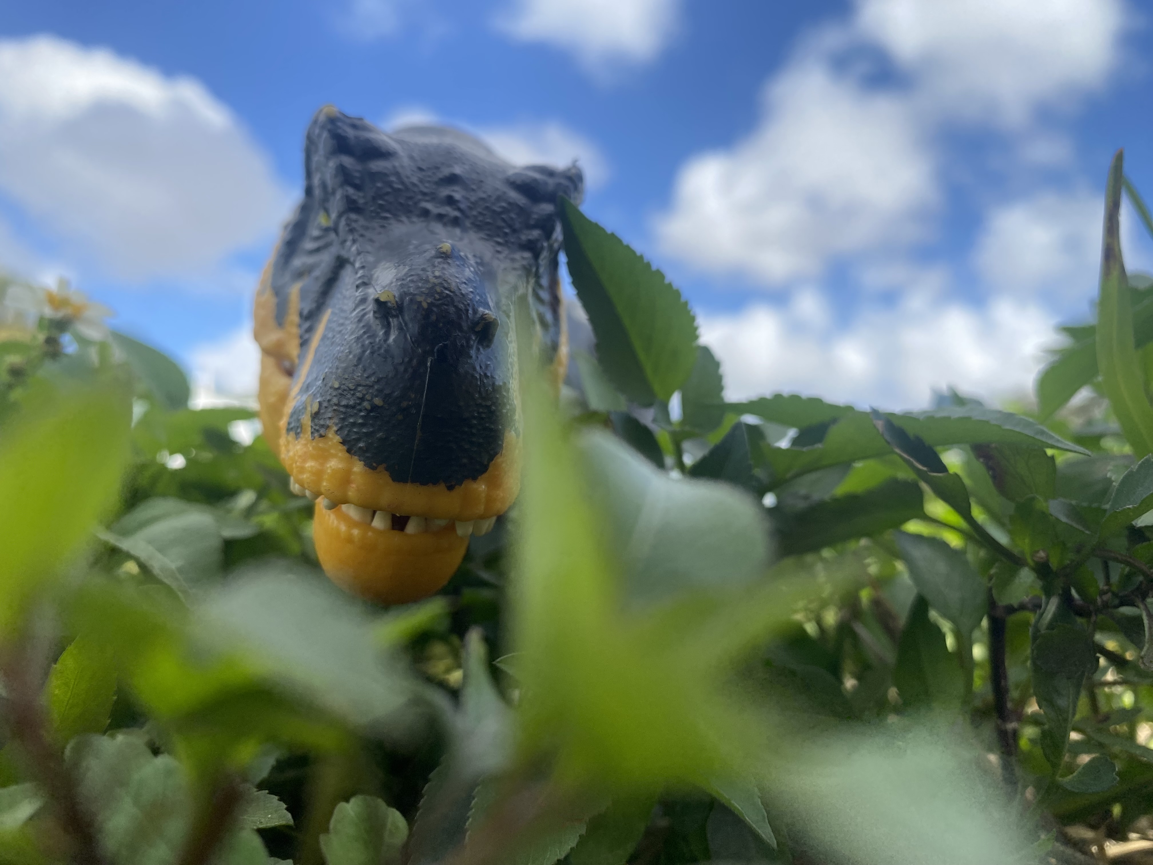 Tyrannosaurus Rex figure